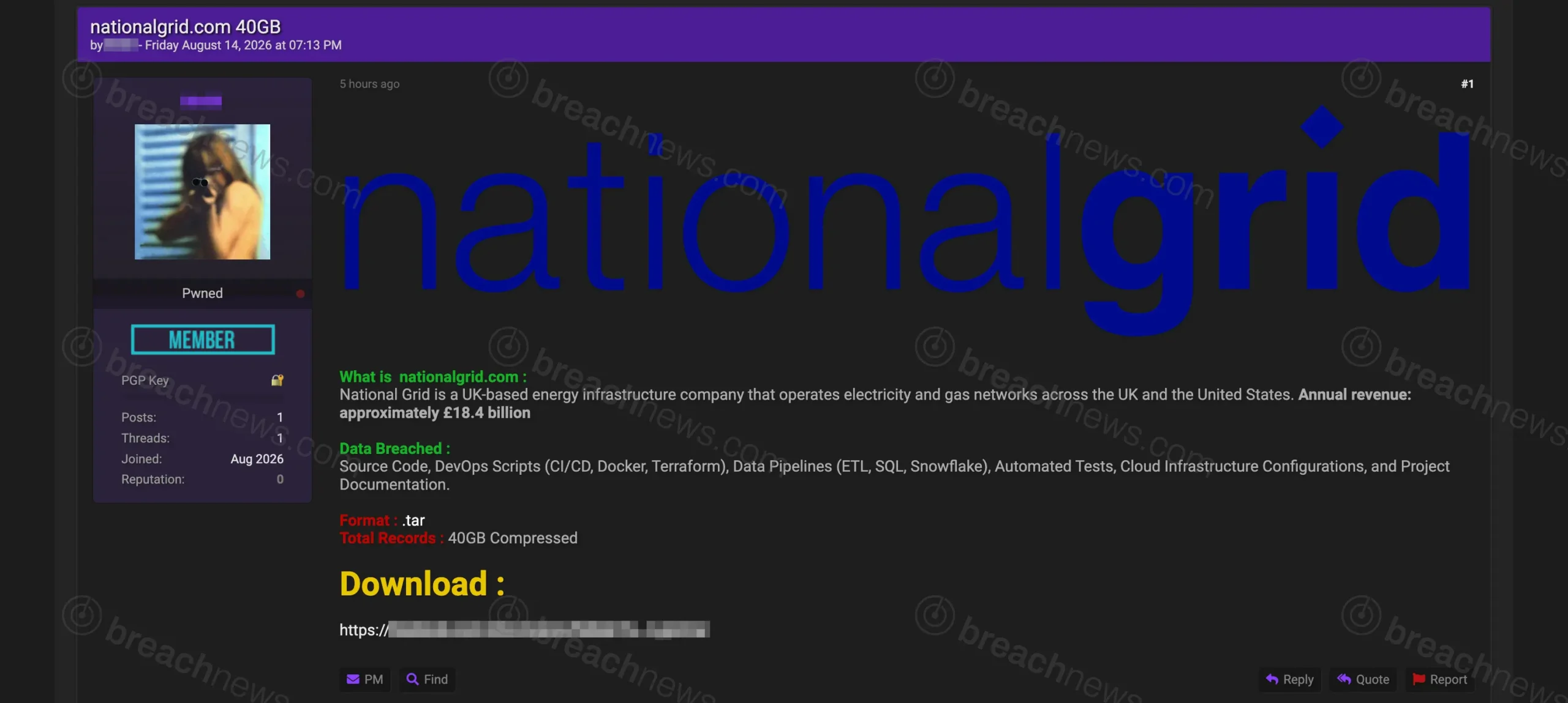National Grid Allegedly Listed in 40 GB Source Code Leak